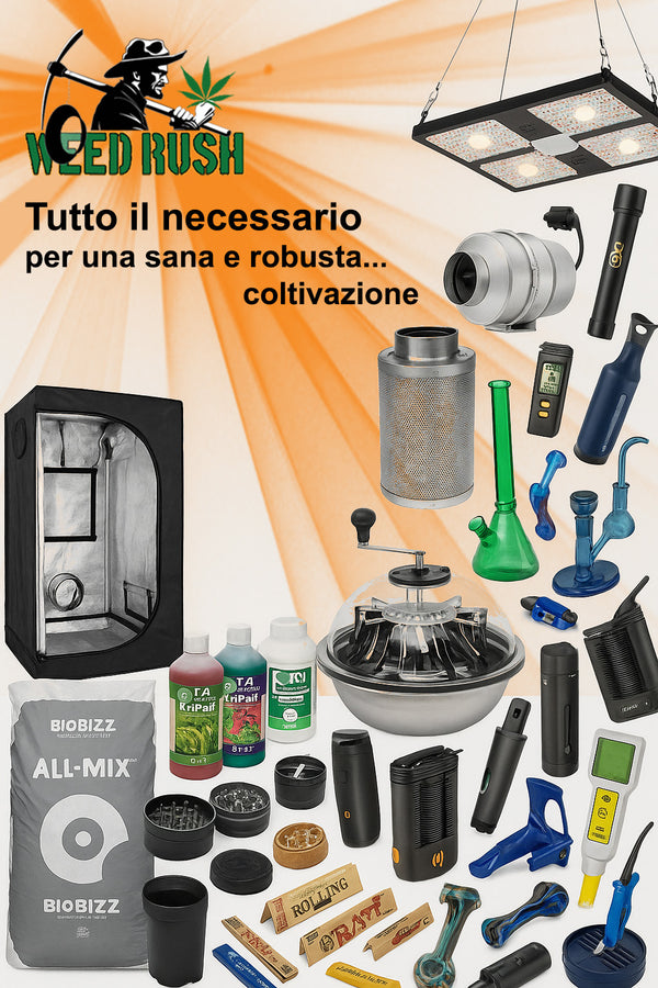 Contenuto Destra